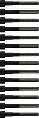 VICTOR REINZ Komplet vijaka cilindarske glave