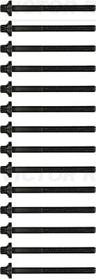 REINZ Komplet vijaka cilindarske glave