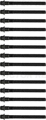 REINZ Komplet vijaka cilindarske glave