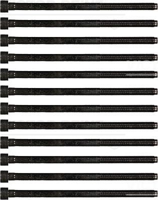 REINZ Komplet vijaka cilindarske glave