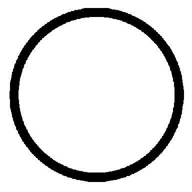 REINZ Brtva, cijev ispušnih plinova