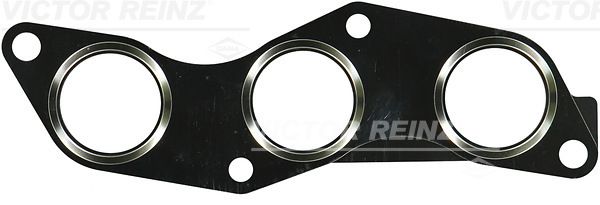 REINZ Brtva, kolektor ispušnih plinova