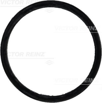 REINZ Brtva, usisna grana