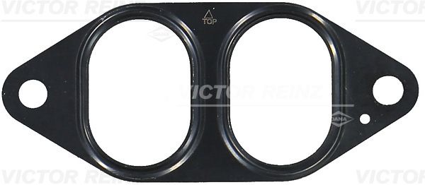 REINZ Brtva, kolektor ispušnih plinova