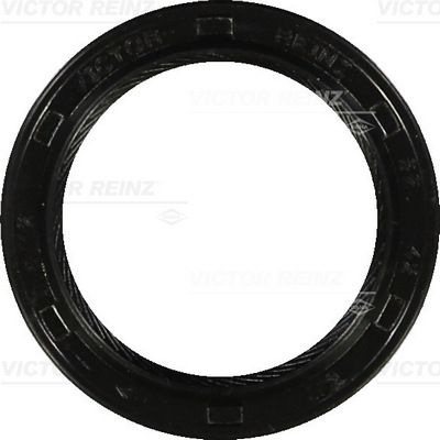 REINZ Brtveni prsten vratila, radilica