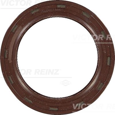 REINZ Brtveni prsten vratila, radilica