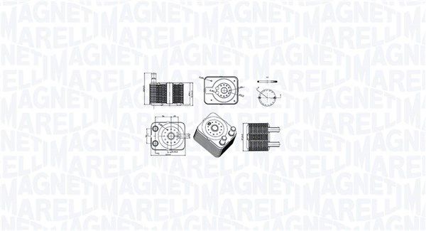 MAGNETI MARELLI Hladnjak ulja, motorno ulje