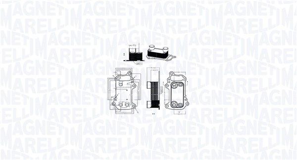 MAGNETI MARELLI Hladnjak ulja, motorno ulje